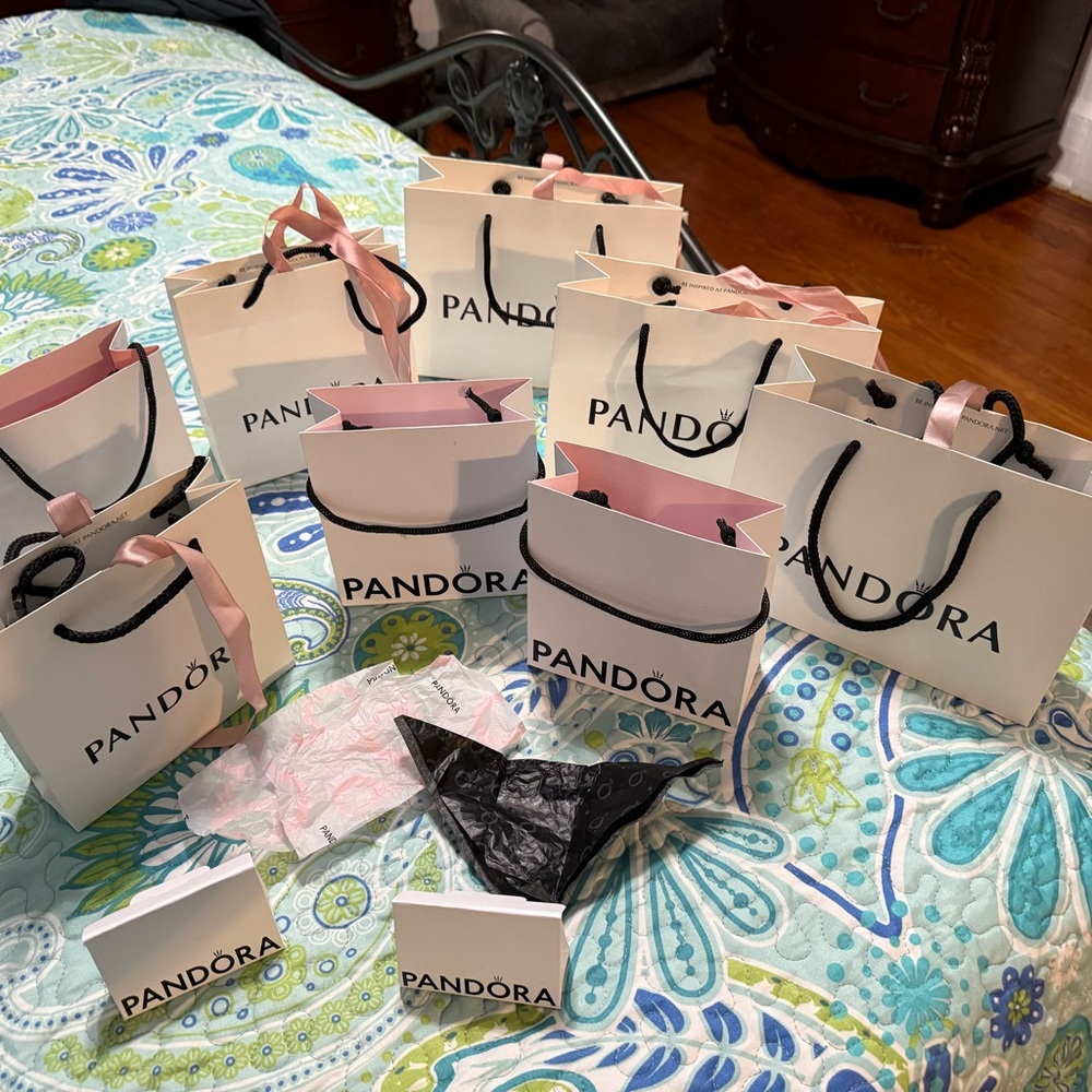 Pandora Gift Bags with Pink and Black Handles